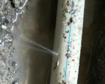碧江卫生间测漏水多少钱