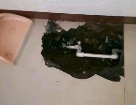 碧江卫生间测漏水多少钱