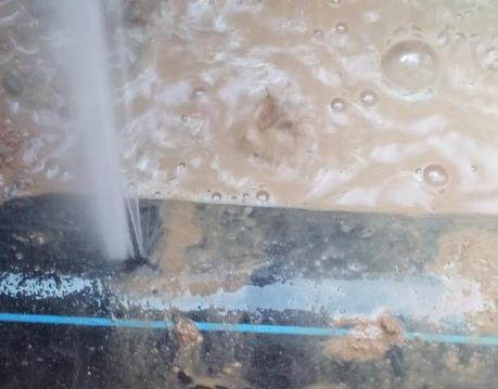 碧江卫生间防水哪家好